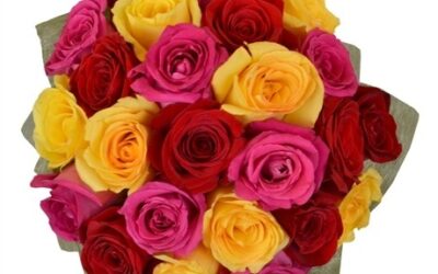 24 Rosas Mistas ; 24 Mixed Color Bouquet ; 24 Rosas Mixtas